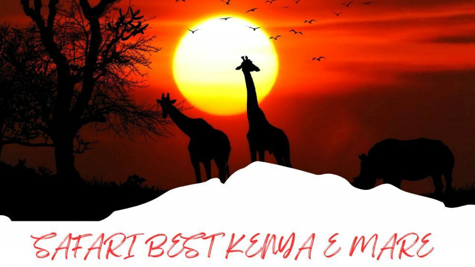 2025 africa best kenia e mare 25 IN23