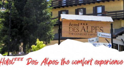 2025 trentino estate des alpes IN23