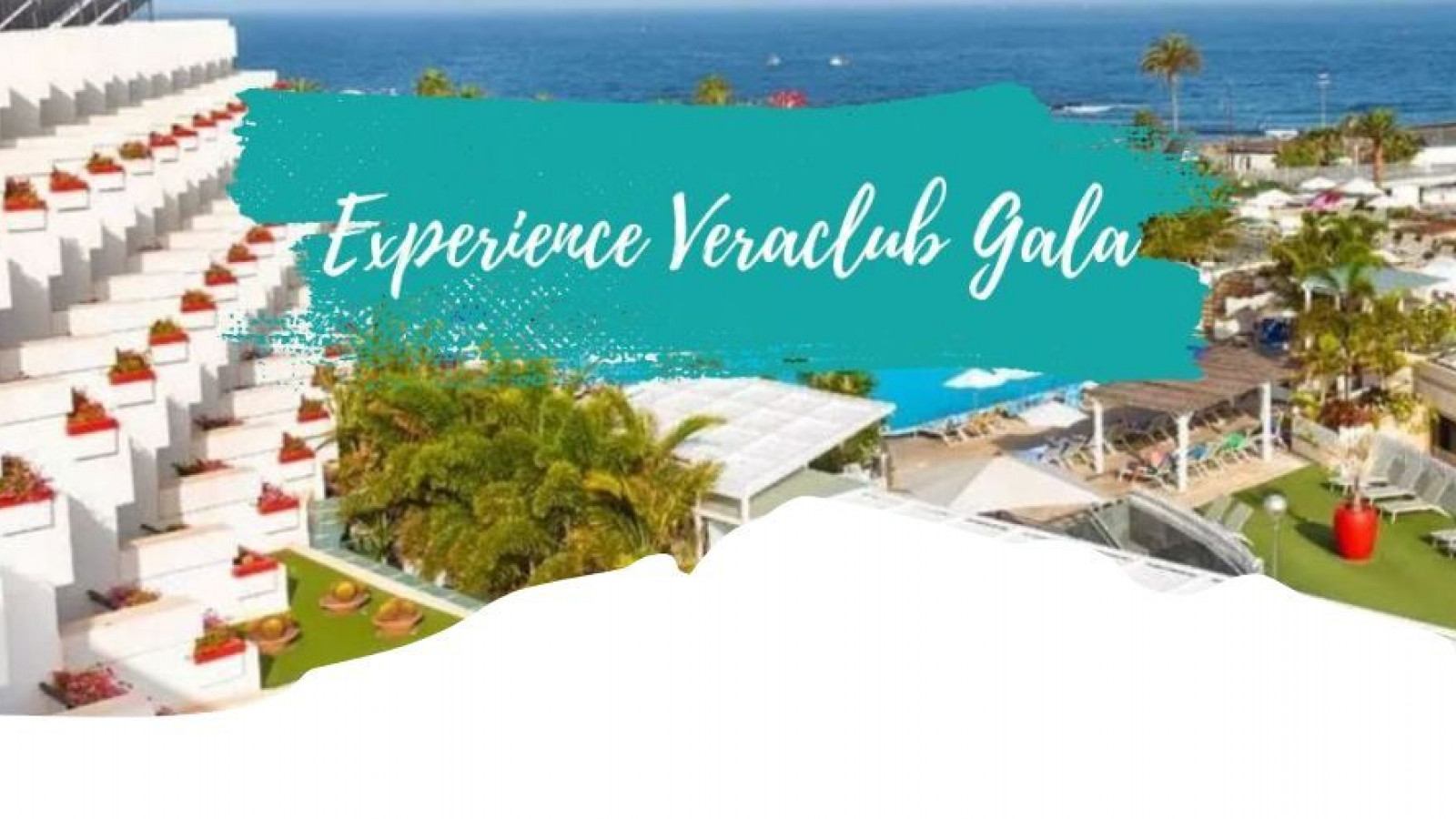 2025 veraclub gala IN23