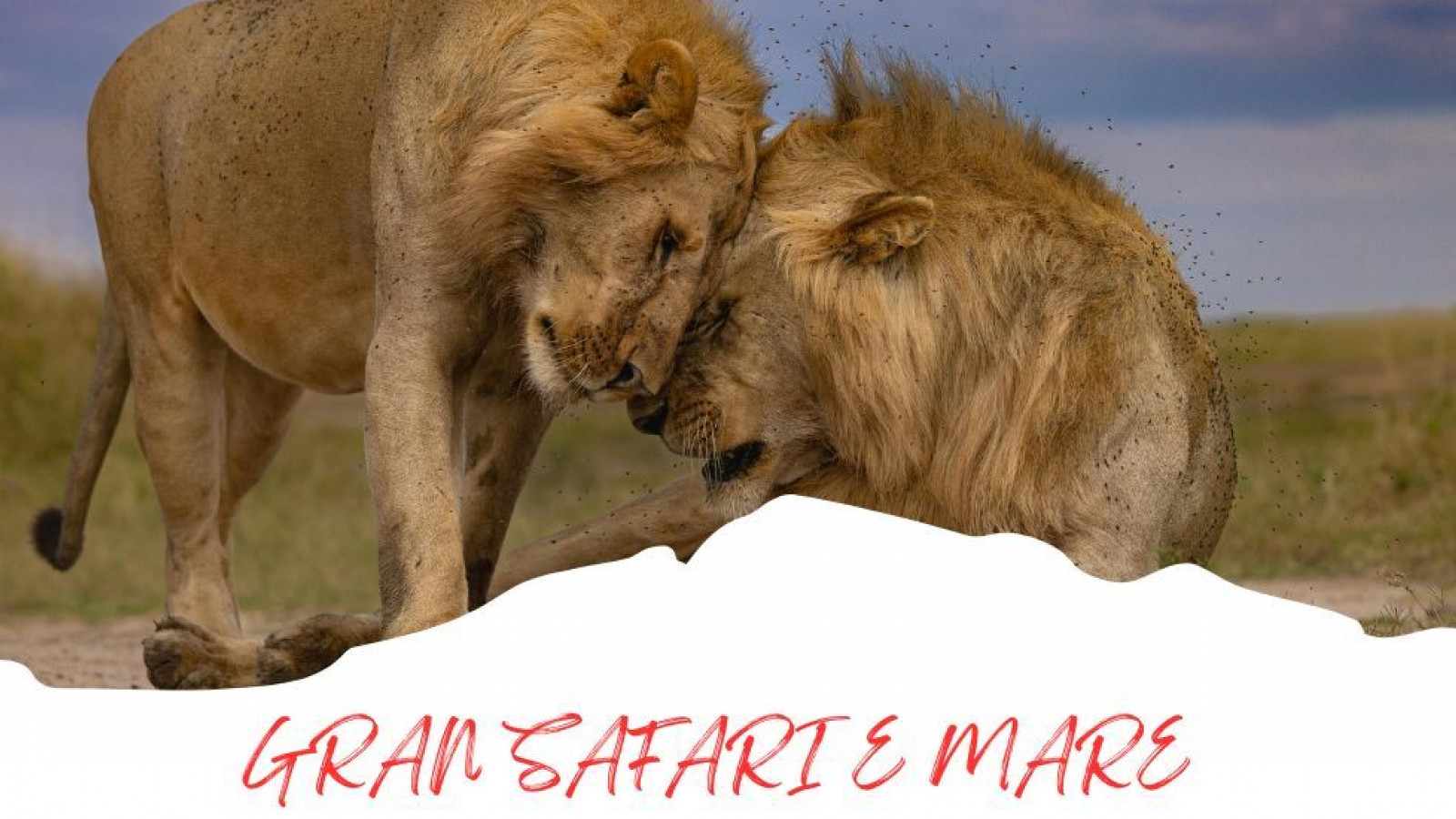 2025 africa gran safari e mare 25 IN23