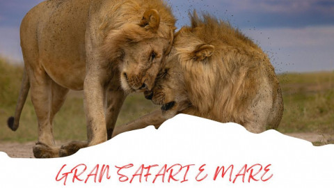 2025 africa gran safari e mare 25 IN23
