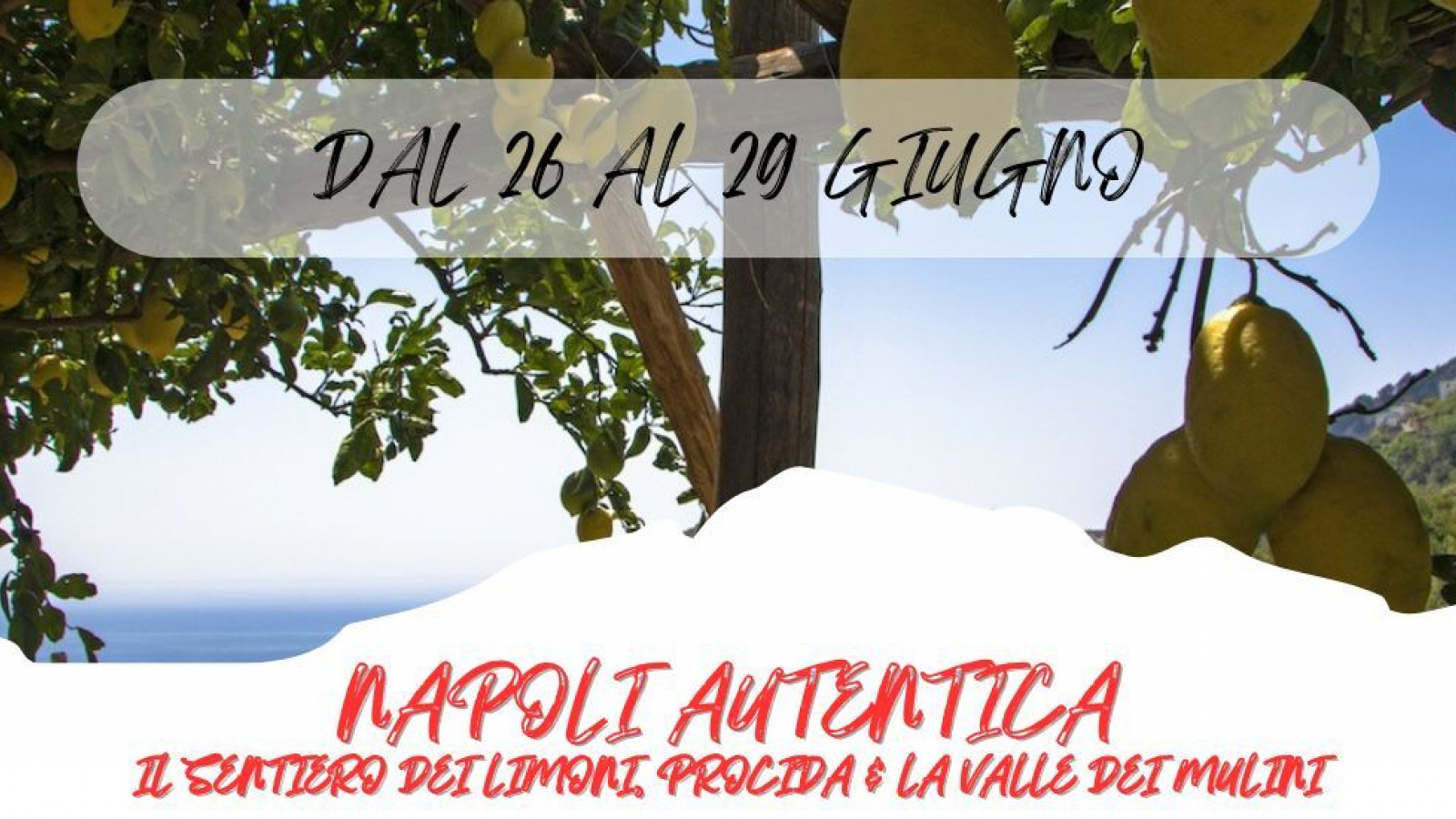  2025 W napoli autentica 26 06 25 IN23
