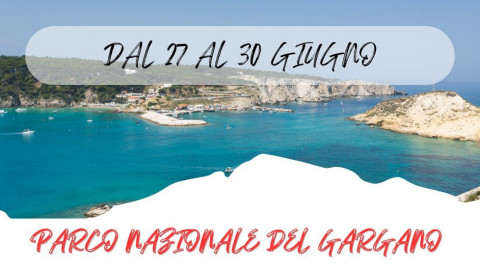 2025 W parco nazionale del gargano 27 06 25 IN23