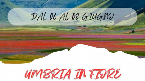 2025 W umbria in fiore 06 06 25 IN23