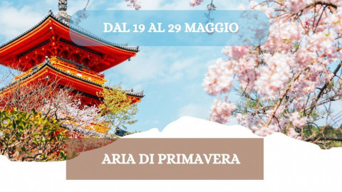 2026 W giappone aria di primavera 19 05 26 IN23