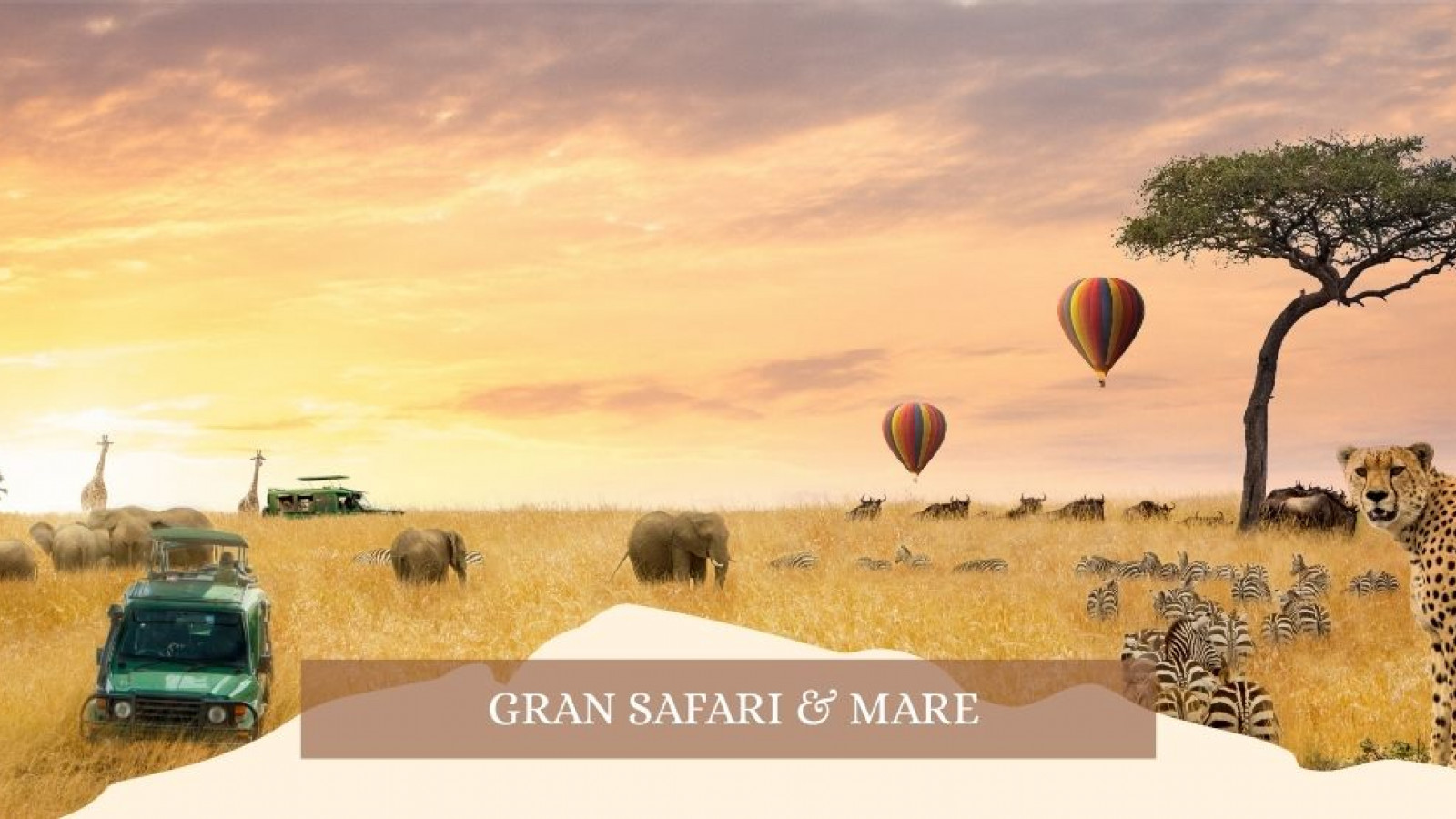 2025 africa gran safari e mare gennaio marzo 26 IN23
