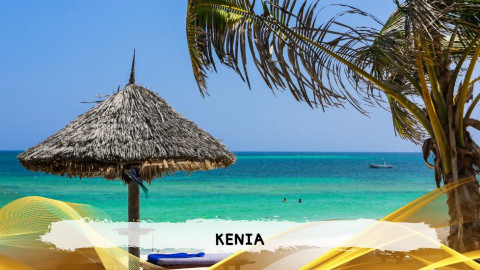 2026 kenya 9,14 08 T IN23