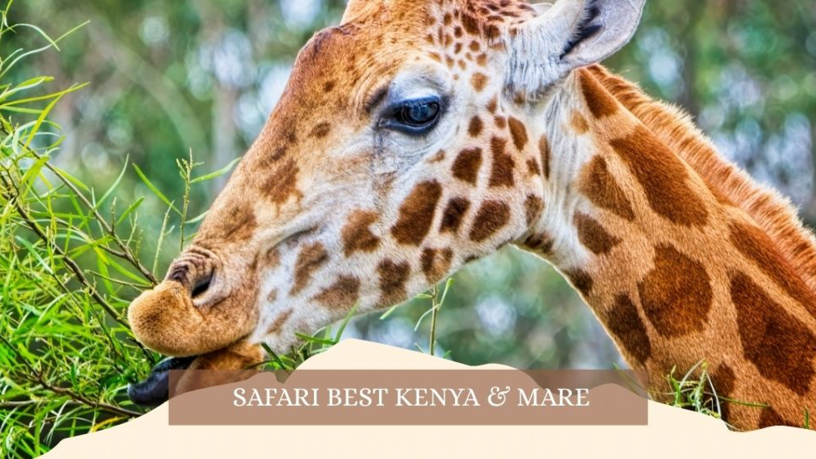 2025 africa best kenia e mare gennaio marzo 26 IN23