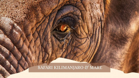 2025 africa kilimangiaro e mare gennaio marzo 2025 IN23