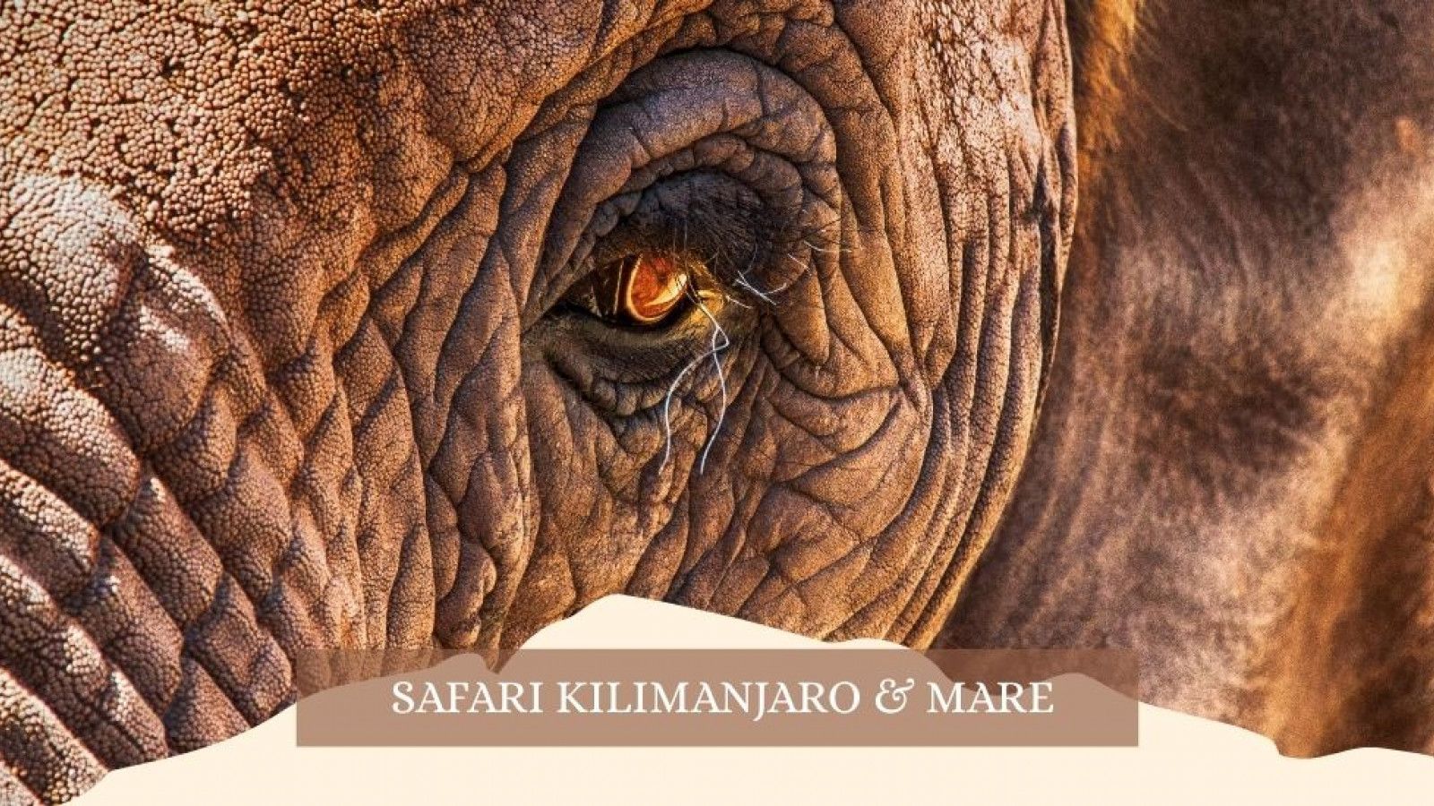 2025 africa kilimangiaro e mare gennaio marzo 2025 IN23