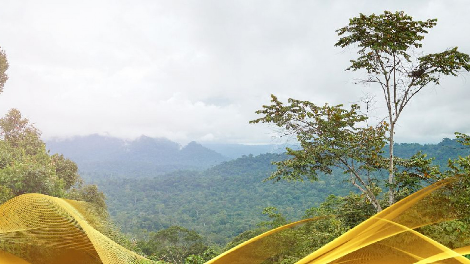 2026 malesia tour mare e altopiani 9 08 O IN23