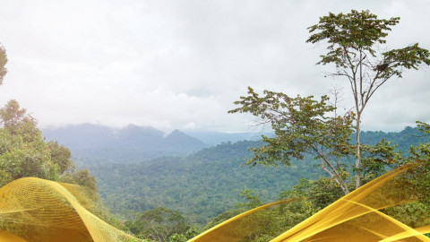 2026 malesia tour mare e altopiani 9 08 O IN23