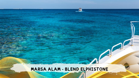 2026 marsa alam da roma blend T IN23