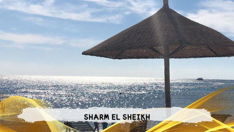 2026 sharm el sheikh da roma T IN23