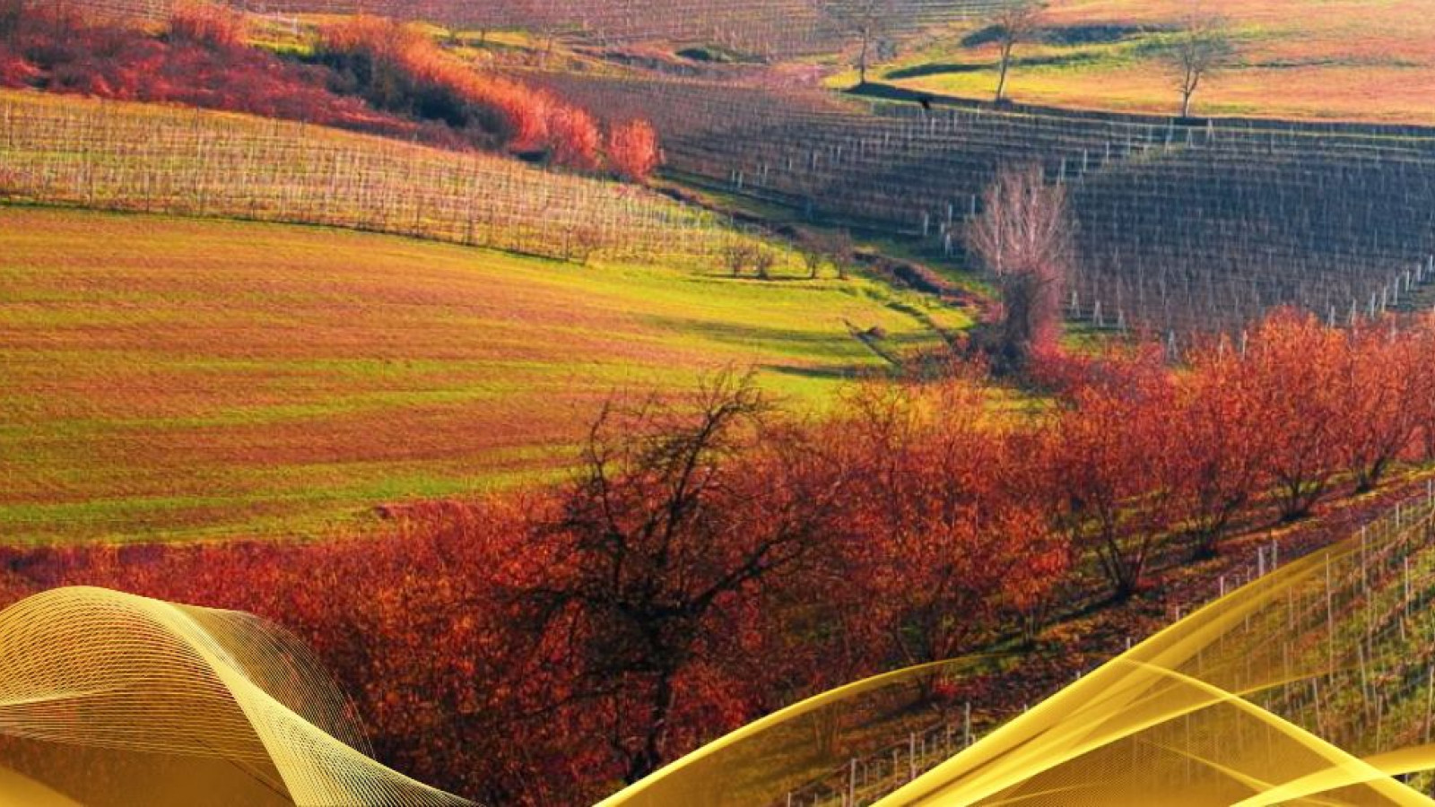 2026 W torino e le langhe 30 05 IN23