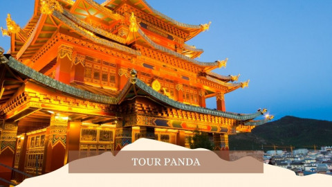 2026 cina tour panda 28 04 IN23