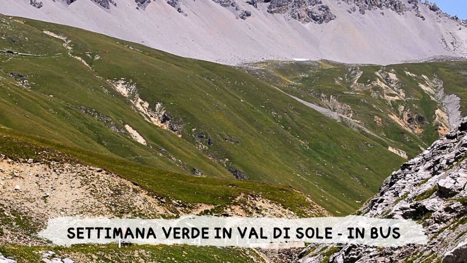 2026 W settimana verde val di sole 29 08 IN23
