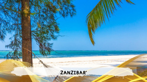 2026 zanzibar 11 08 T IN23